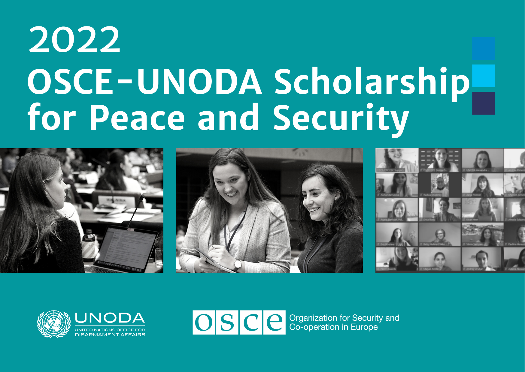 UNODA/OSCE CPC Education: Scholarship for Peace and Security 2021 - Training on Arms Control and Disarmament CPC01POLMIL