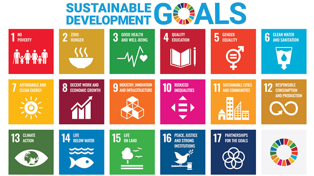 SDG goals